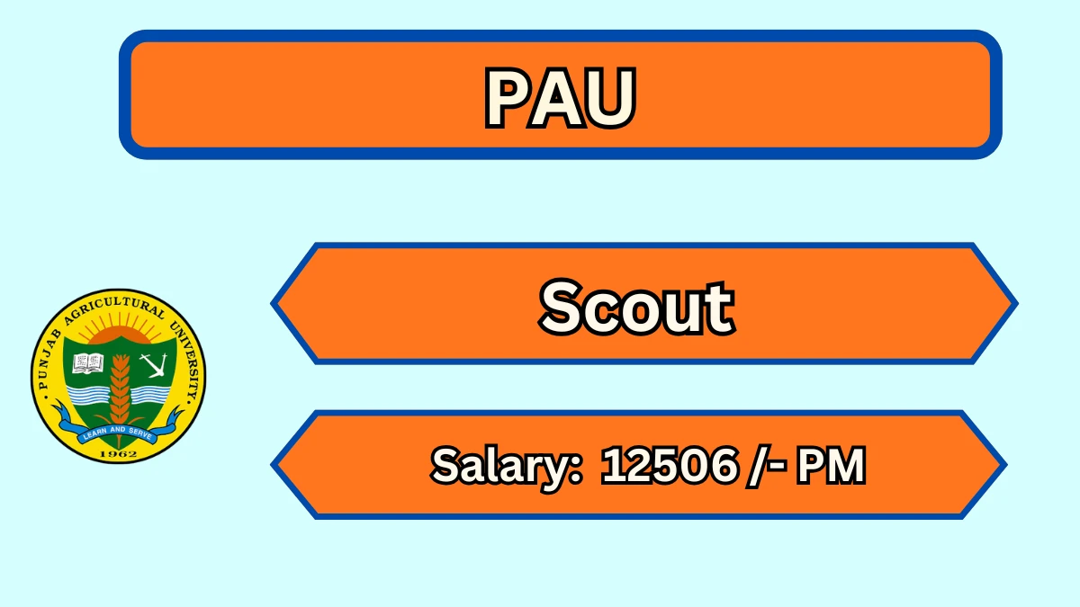PAU Scout Recruitment 2026 – Apply Offline