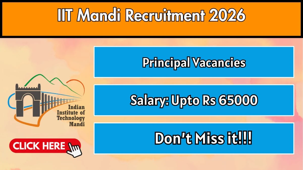 IIT Mandi Principal Recruitment 2026