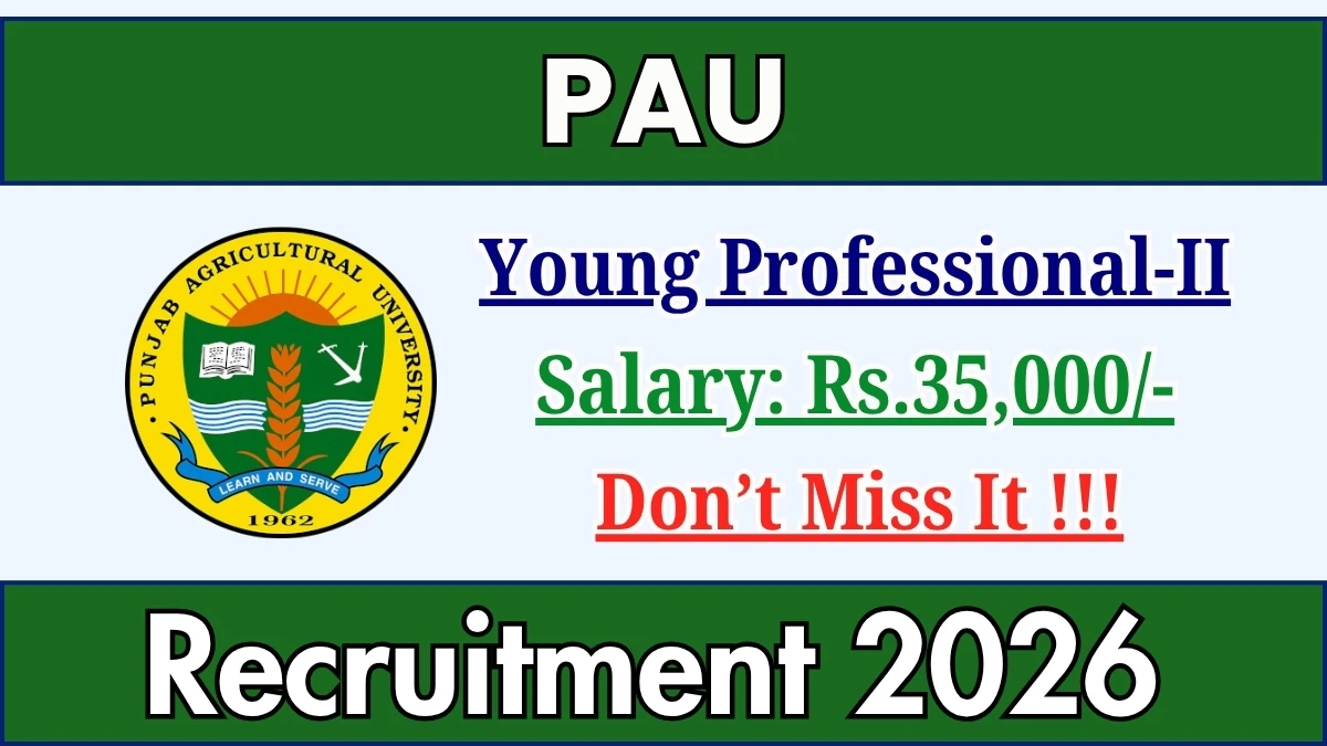 PAU Young Professional-II Recruitment 2026