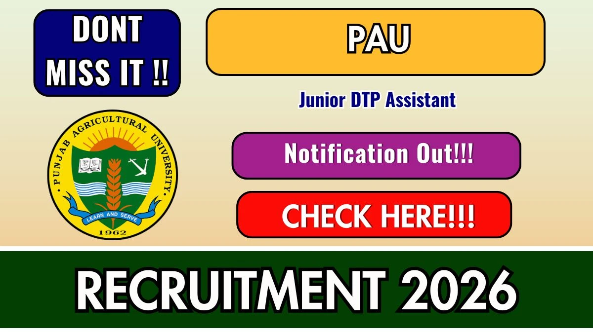 PAU Junior DTP Assistant Recruitment 2026