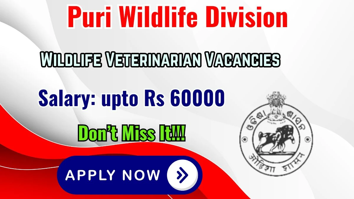 Puri Wildlife Division Wildlife Veterinarian Recruitment 2026