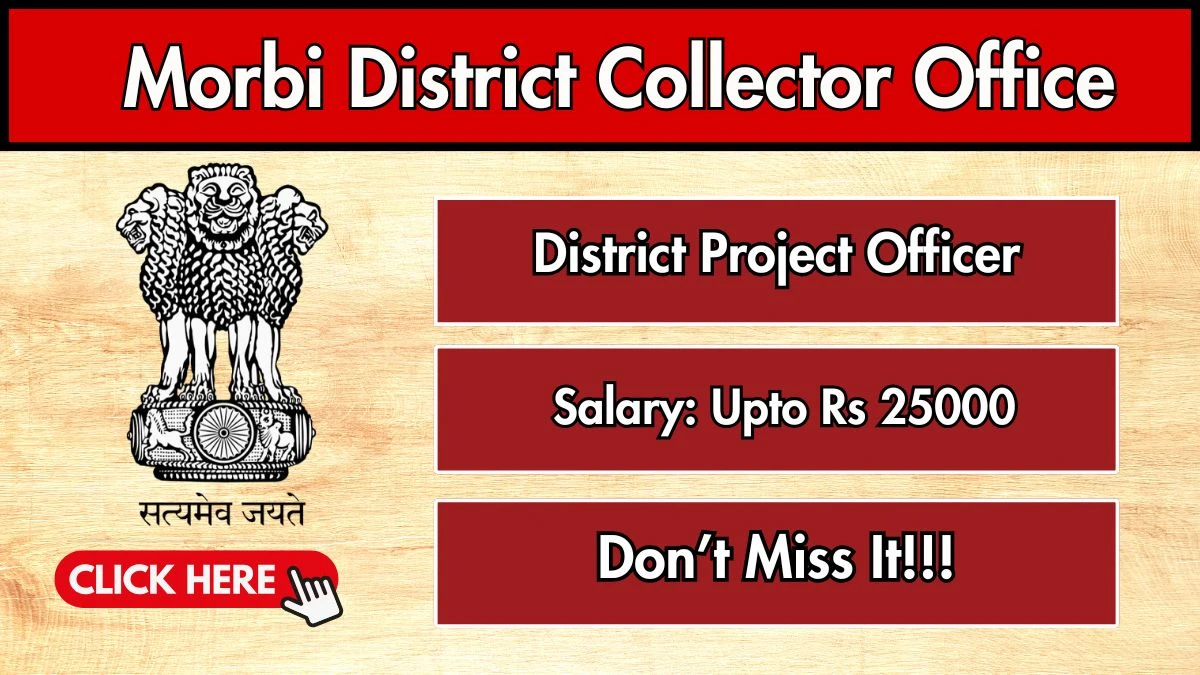 Morbi District Collector Office District Project Officer Recruitment 2026